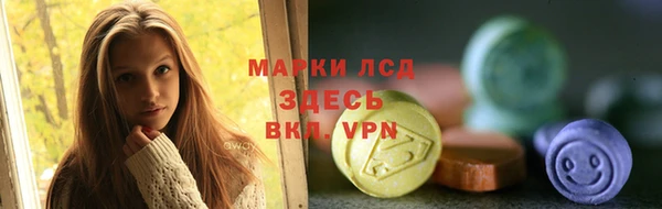 стаф Магас