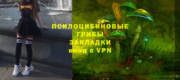 альфа пвп Алексеевка